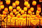 The Lantern Festival